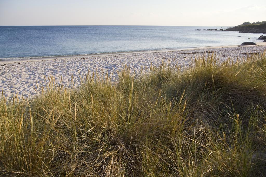Aparthotel Goelia Le Domaine Des Glenan